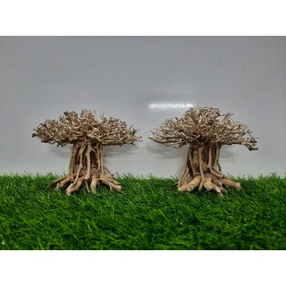 Lũa nấm bonsai cấy rêu hồ cá ( Ngan 15cm cao 10cm )