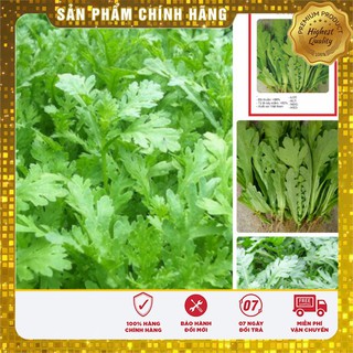 Bộ gói hạt giống Cải cúc Nếp