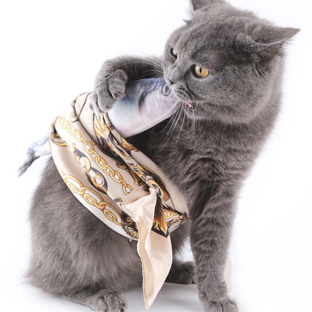 Cá nhồi bông canip cho mèo ( tặng kèm gói canip nhỏ)