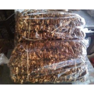 Nấm hương (nấm đông cô) rừng cao bằng (ảnh thật)
