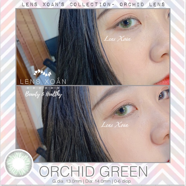 ÁP TRÒNG ORCHID GREEN | LENS XOẮN | LENS XANH LÁ TRONG SÁNG NHẸ