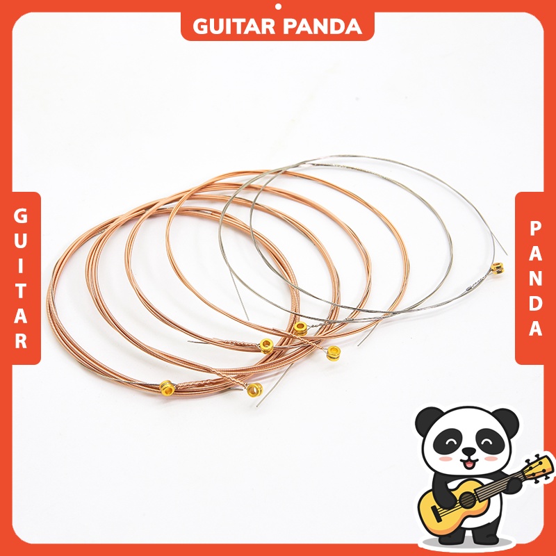 Dây Đàn Guitar Acoustic Dosago DO22 Cao Cấp GUITAR PANDA