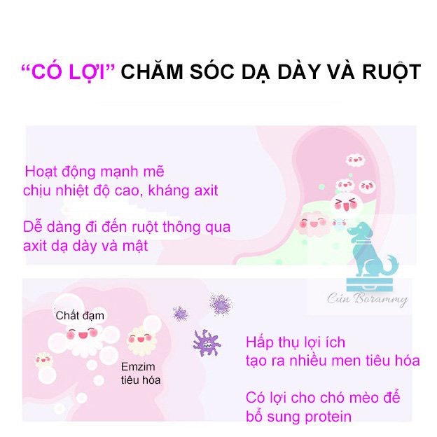Men Tiêu Hóa Borammy cho Chó Mèo Bổ Sung Probiotics hộp 180v | Vie PETSHOP