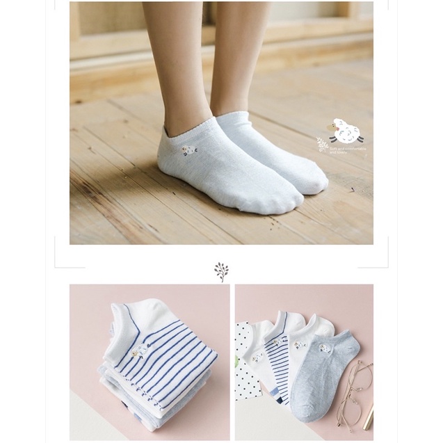 Set 4 đôi tất nữ Caramella hoạ tiết dễ thương phong cách Hàn Quốc tặng kèm hộp hoặc túi zip