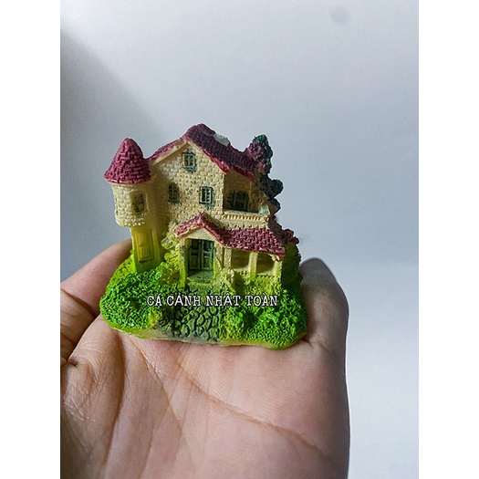 CẢNH NHÀ TRANG TRÍ HỒ CÁ NON BỘ 6X4X5CM MẪU KHÁC