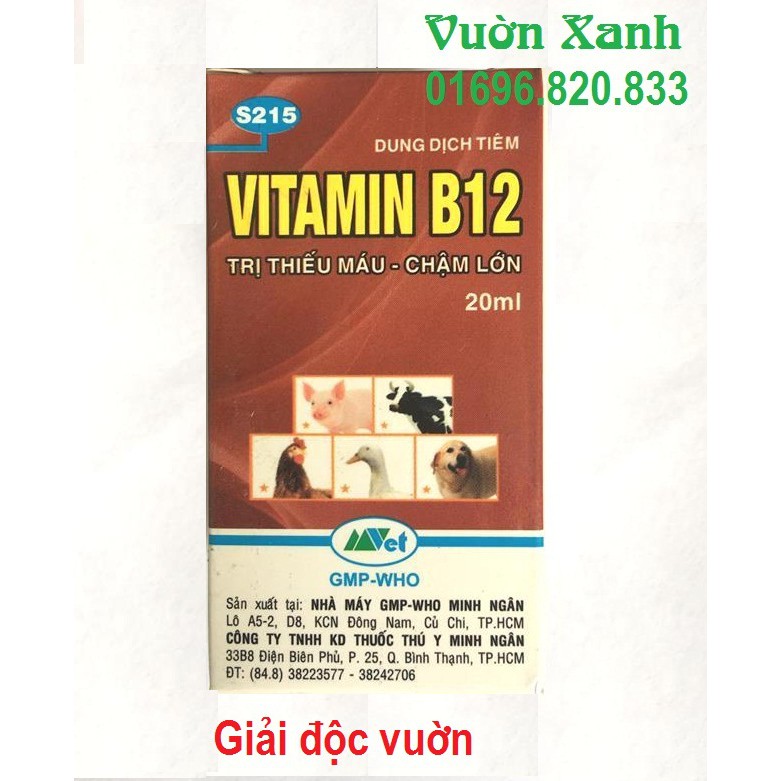 Vitamin B12 cho cây cảnh, phong lan 20ml