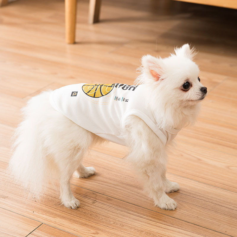 Quần áo cho chó con Bomei Bulldog Teddy Quần áo thoáng khí Quần áo mỏng quần áo cho chó Quần áo thú cưng Quần áo thể thao