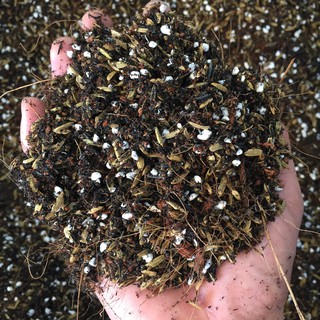 500gr Đất Trộn Chuyên Trồng Sen Đá