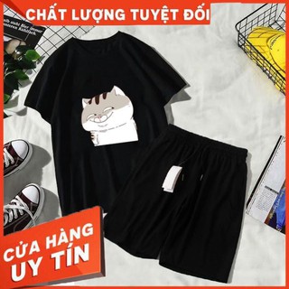 [FREESHIP-KEM ẢNH THẬT] BỘ QUẦN ÁO PHÔNG HÌNH MÈO AMI BỤNG BỰ - AMI1