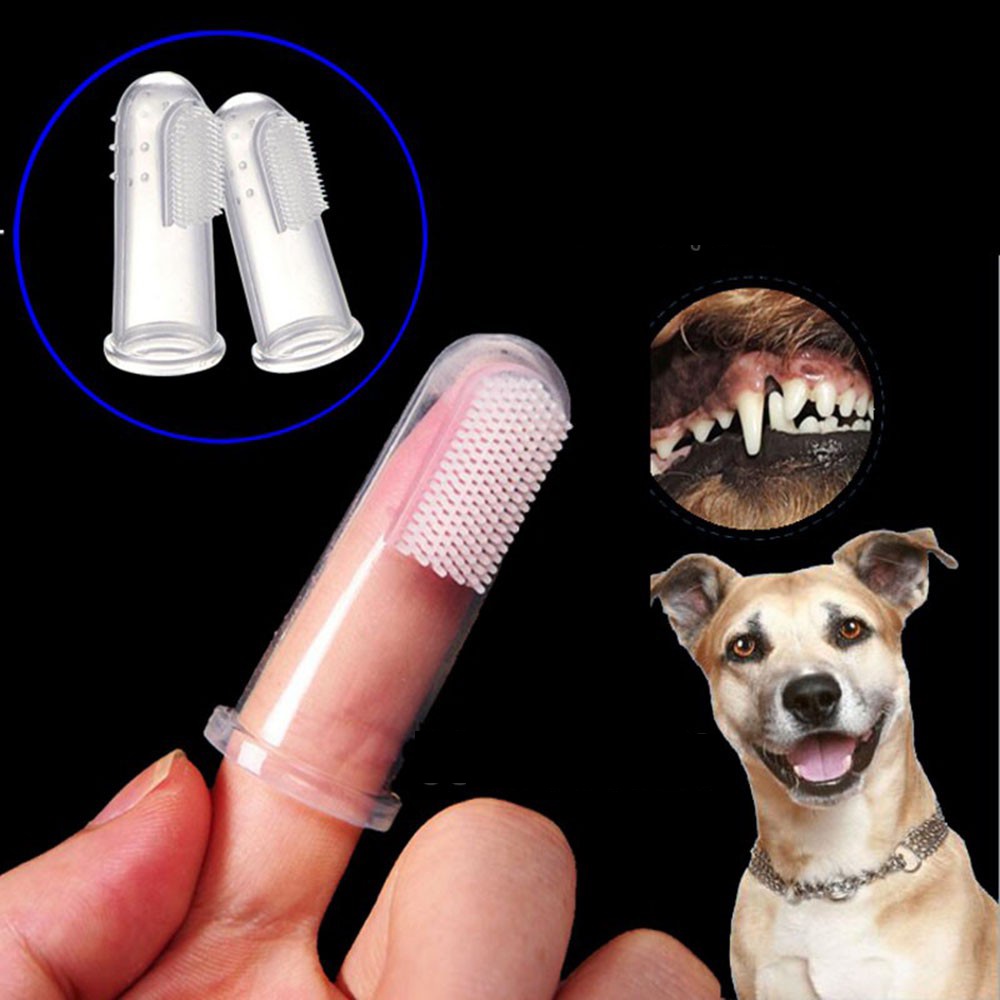 Ngón tay silicon cọ răng cho chó mèo vệ sinh răng miệng sạch sẽ thơm tho CANDYPETS DCVSRM
