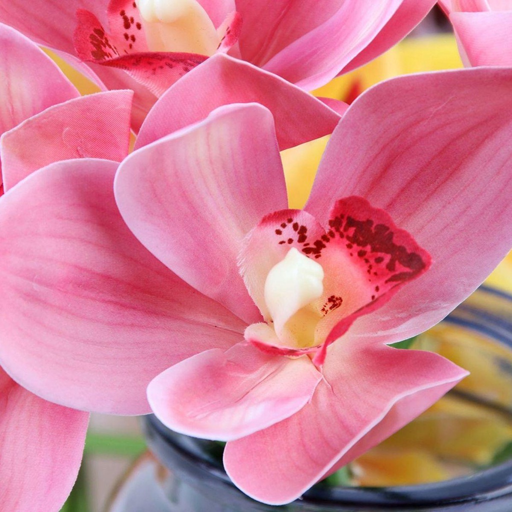 Bó Hoa Lan Giả Trang Trí Phòng Khách
