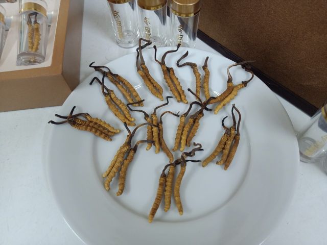 Đông trùng hạ thảo nguyên con Tây Tạng 3 con 1 gam