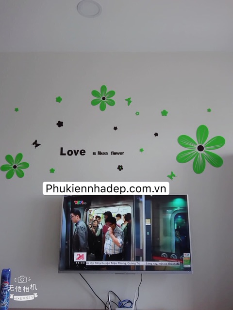 Tranh dán tường mica 3d hoa cánh dời hồng, xanh, tranh trang trí phòng khách, phòng ngủ, spa, nail, cafe