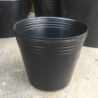 Bộ 25 chậu trồng hoa, cây cảnh c6