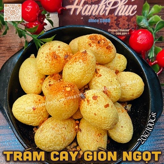 Trám vàng cay ngọt giòn 100gr / 300gr / 500gr