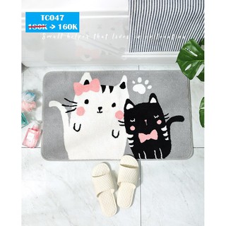 Thảm chùi chân siêu thấm - giá rẻ nhất