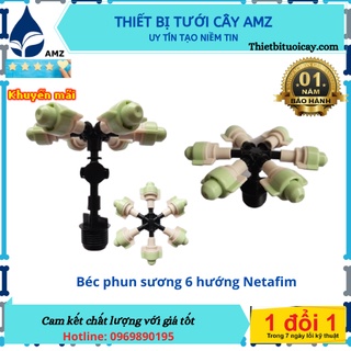 Béc phun sương 6 hướng đài loan chân ren 21mm - combo 5 bộ