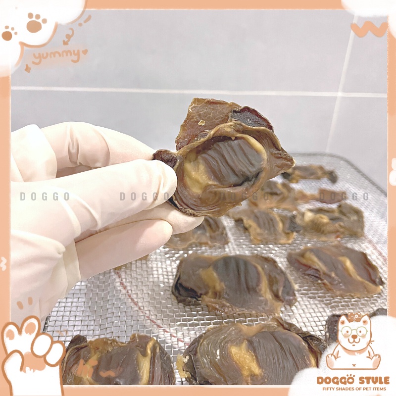 Treat Bánh Thường Mề Gà Sấy Khô DOGGOSTYLE Homemade Gói 50G 100G Cung Cấp Protein Dinh Dưỡng Cho Chó