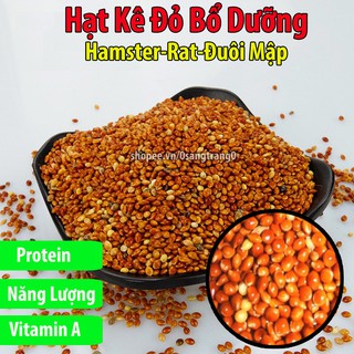 100g Hạt Kê Đỏ Bổ Dưỡng Cho Hamster-Rat-Đuôi Mập