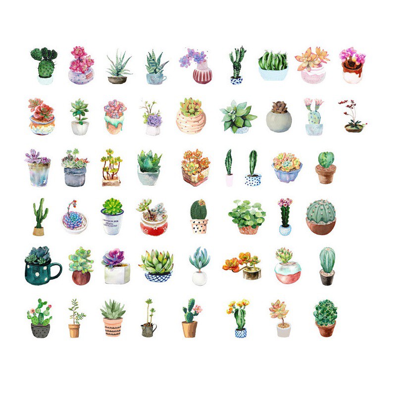 Bộ 50 Miếng Dán Hình Cây Xương Rồng Trang Trí Album A6386