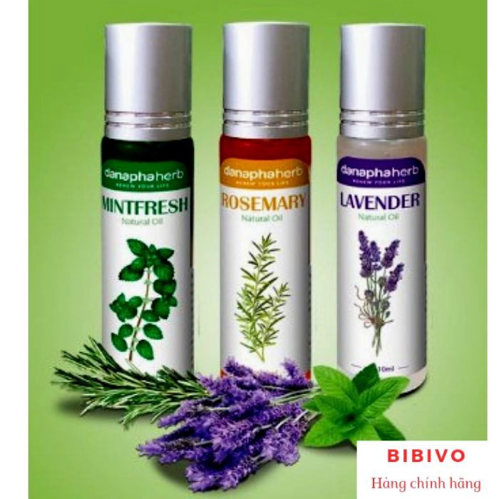 Dầu Gió Bi Lăn Thảo Dược - Lavender - Rosemary - Mintfresh - Danapha Việt Nam xuất khẩu