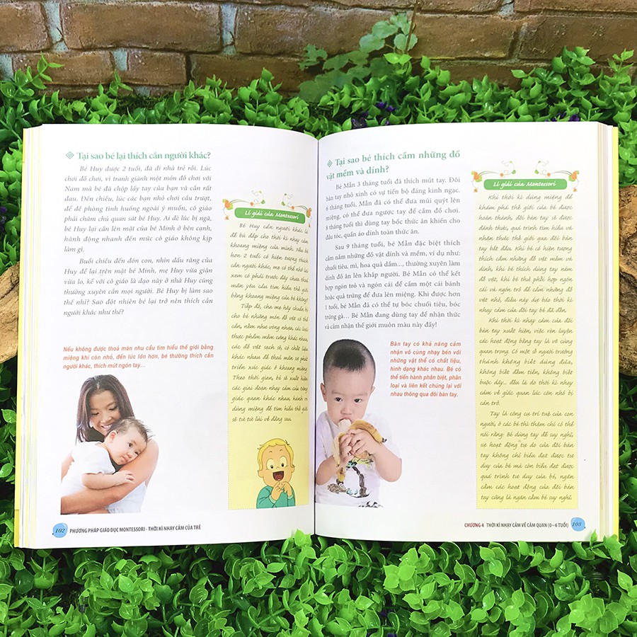 Sách - Phương Pháp Giáo Dục Montessori - Thời Kỳ Nhạy Cảm Của Trẻ