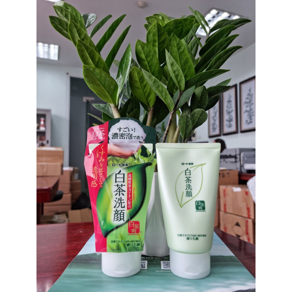 Sữa rửa mặt trà xanh Rohto Shirochasou ngăn ngừa mụn và chống lão hoá 120g