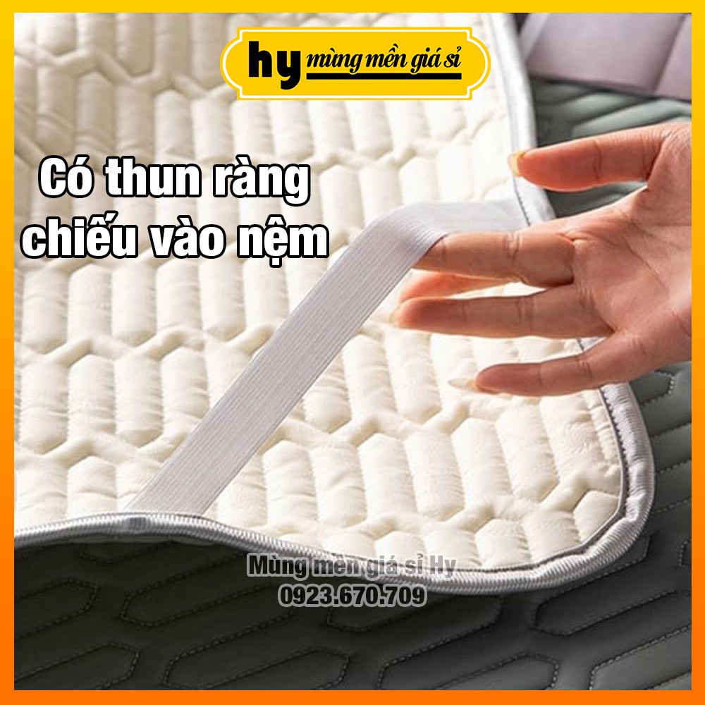 [KÈM 2 ÁO GỐI] Chiếu điều hòa cao su non 5D 1m6, 1m8 siêu mát | Mùng mền giá sỉ Hy