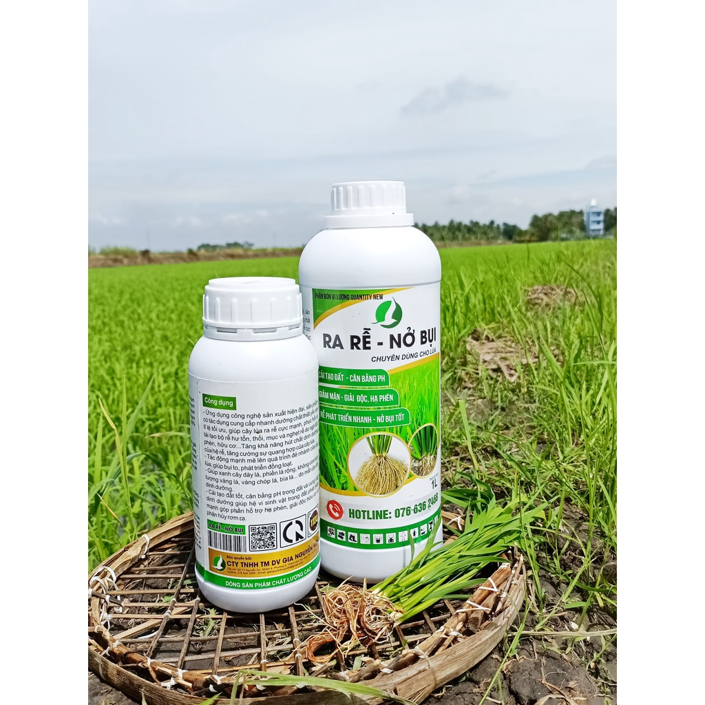 RA RỄ - NỞ BỤI, PHÂN BÓN CHUYÊN LÚA, RA RỂ KHỎE, NỞ BỤI TO, SINH TRƯỞNG KHỎE