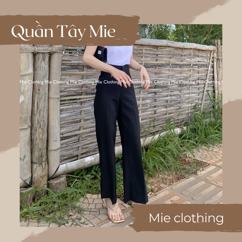 Quần Tây Mie chất Cotton ống đứng 22