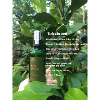 Tinh Dầu Bưởi Kích Mọc Tóc Thiên Nhiên Không Hóa Chất