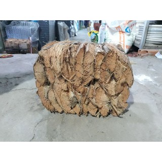 Vỏ Dừa Nguyên Miếng To ( 10-12cm) 1KG Dùng Trồng Lan,Ốp Vào Cây Cảnh