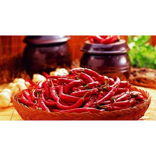 Hạt Giống Ớt Chỉ Thiên F1