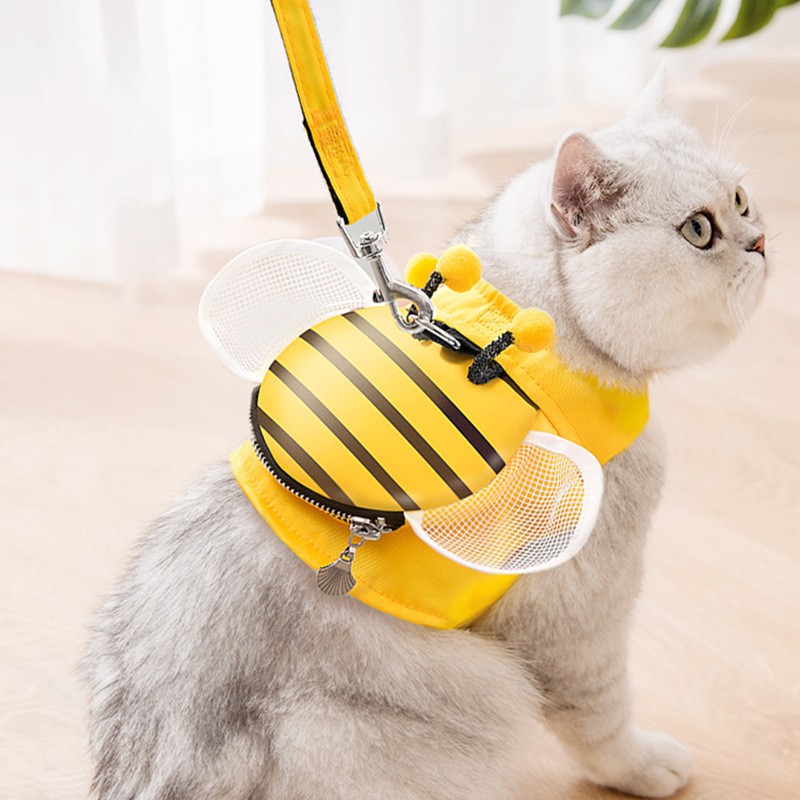 Dây dắt chó mèo cute