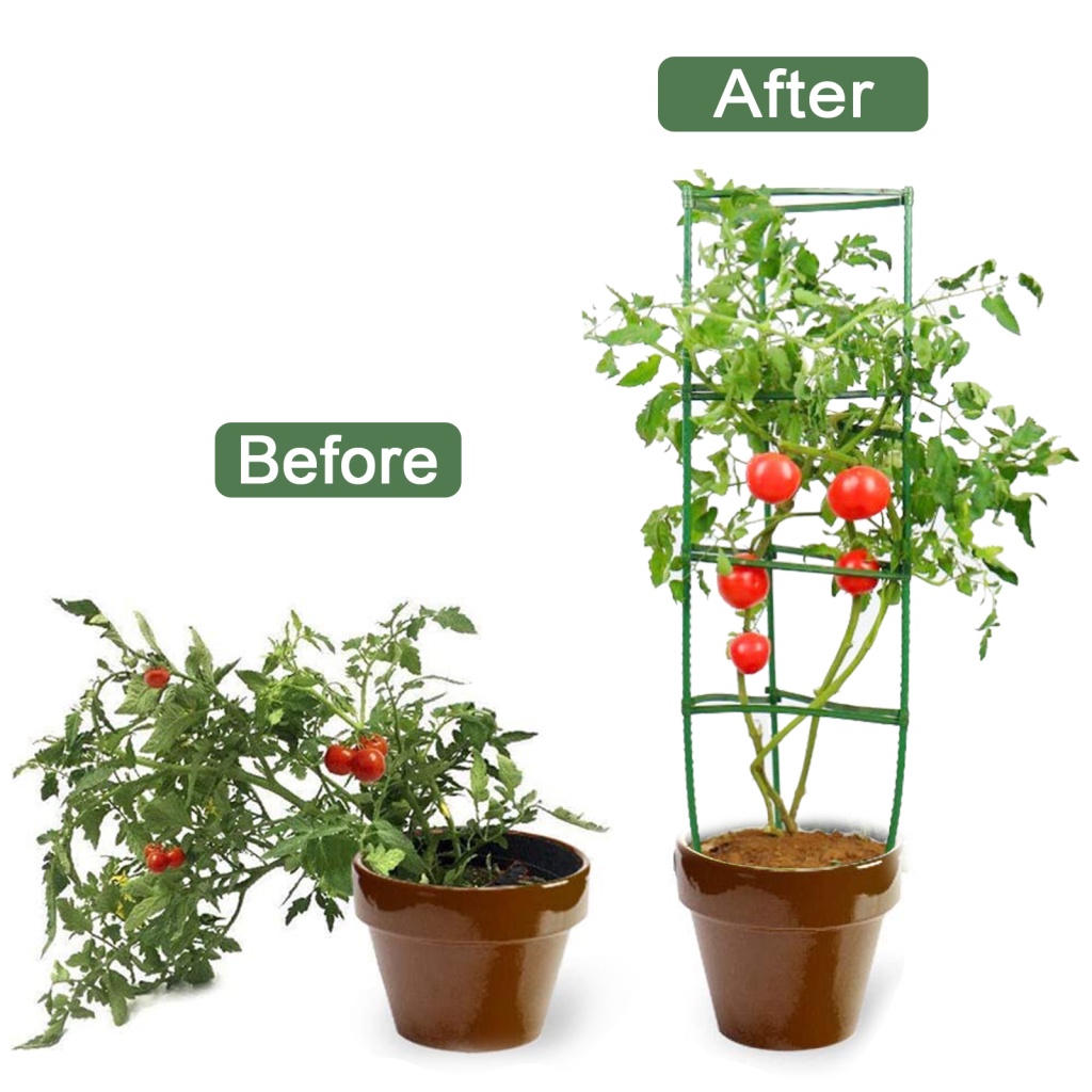 Giá Đỡ Bằng Nhựa Gắn Cây Cà Chua Tiện Dụng Và Bền