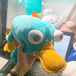 Gấu perry