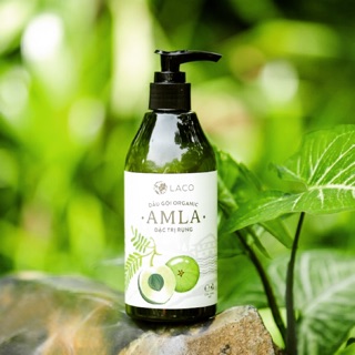 Dầu gội trị ngăn ngừa rụng tóc amla