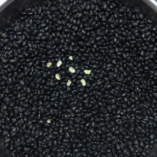 Đỗ đen xanh lòng(1kg)
