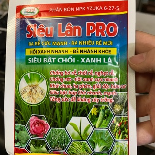 Siêu lân kích thích ra rễ và phân hóa mầm hoa