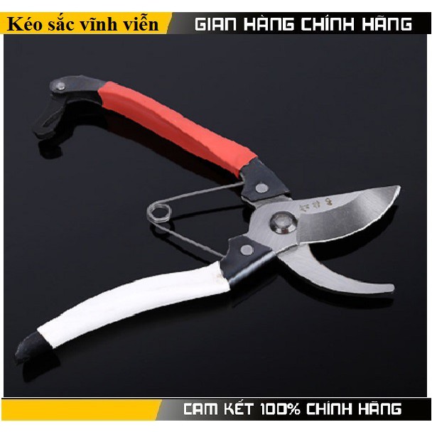 Kéo cắt cành sắc vĩnh viễn