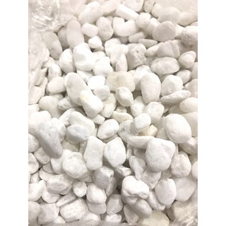 200g Sỏi Trắng Trang Trí Bể Cá Tiểu Cảnh Siêu Rẻ Tiện Lợi