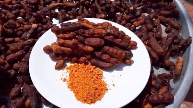 Me Lào chấm muối tôm siêu ngon