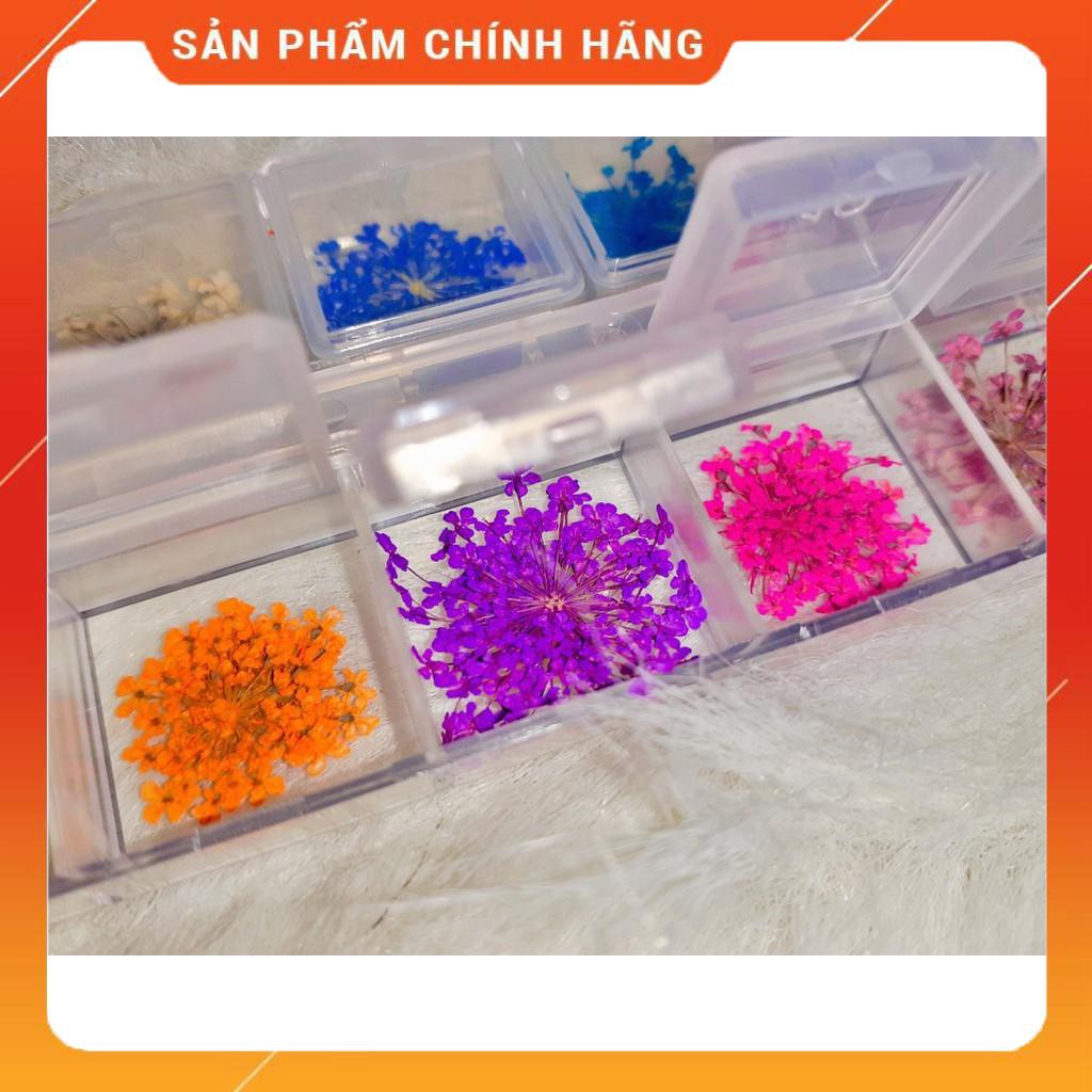 Set Hoa Khô Chùm Trang Trí Nail 12 Màu - Set Hoa Khô Chùm Trang Trí