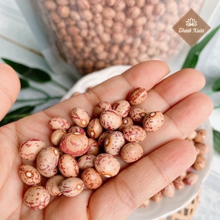 ĐẬU CÚC ( đậu botibo)