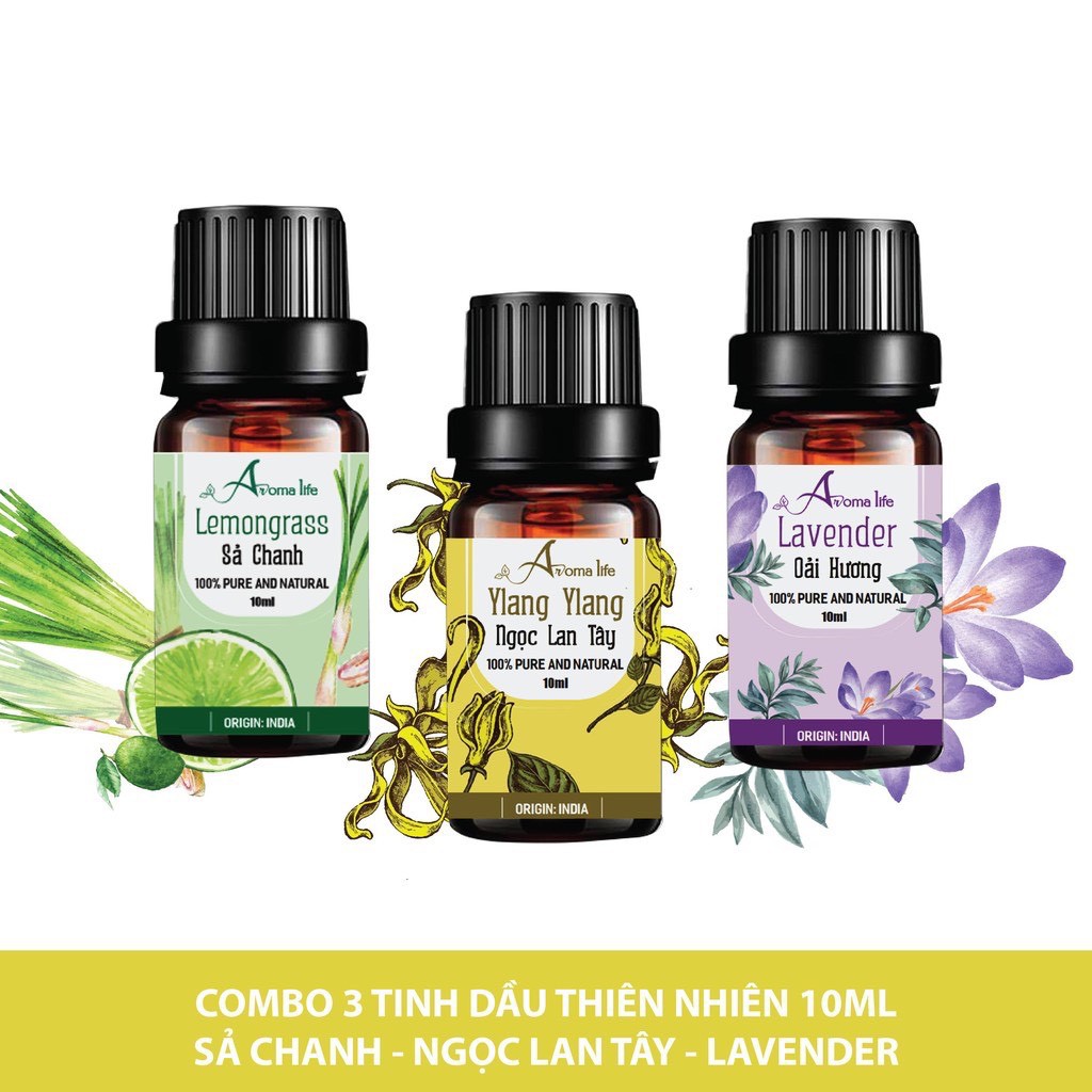 Combo 3 chai tinh dầu nguyên chất 10ml Ấn Độ