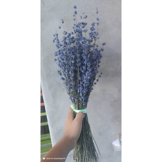 Hộp quà tặng lavender