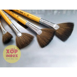 Cọ vẽ tranh lông sóc hình rẽ quạt cao cấp