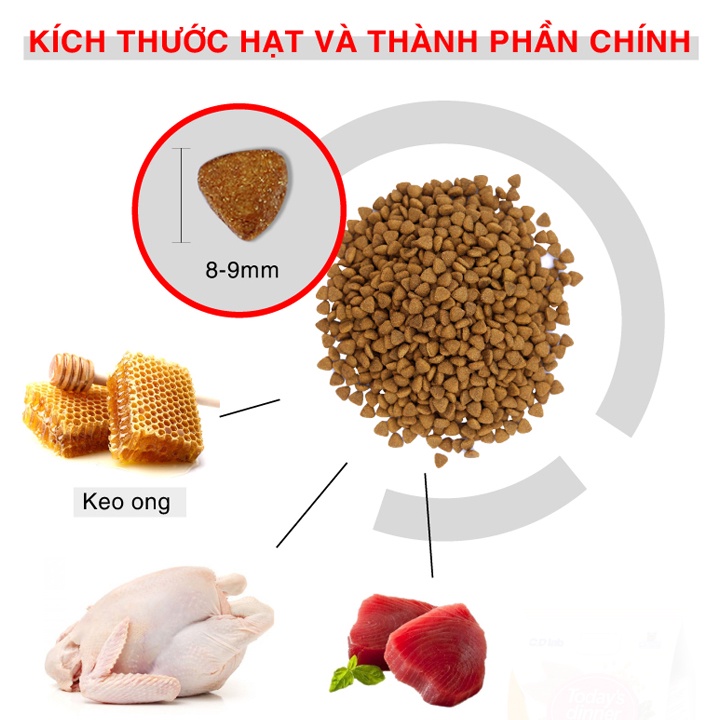 Thức Ăn Hạt Cho Mèo Catsrang 5kg Giá rẻ #MintPet