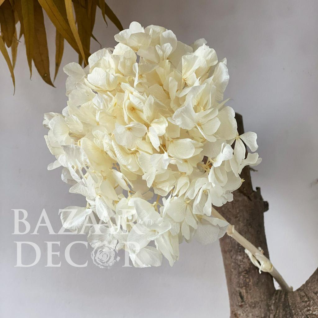 Cành hoa tú cầu sấy khô cánh bướm 50cm - Cành nhỏ màu trắng kem