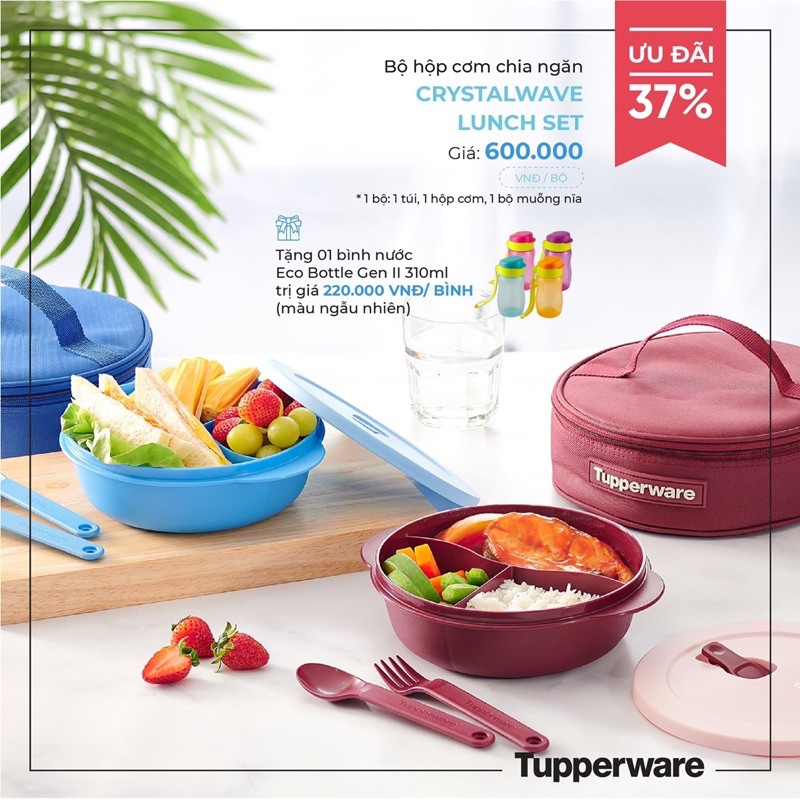 Bộ hộp cơm Lò Vi Sóng Crystal Wave Lunch Set Tupperware TẶNG Bình Eco 310ml